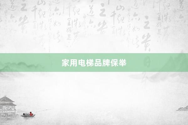 家用电梯品牌保举