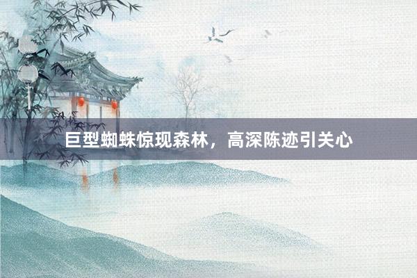 巨型蜘蛛惊现森林，高深陈迹引关心