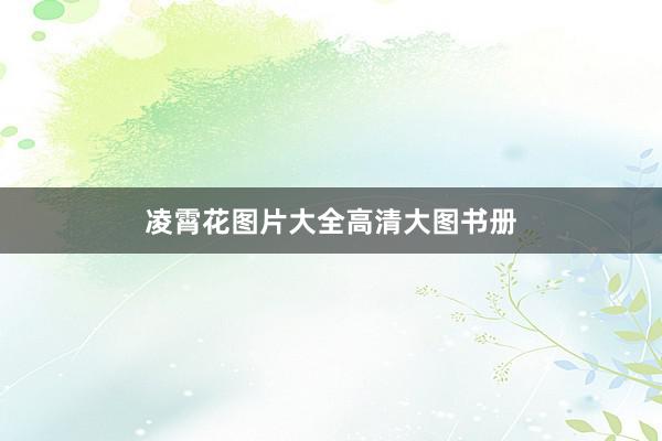 凌霄花图片大全高清大图书册